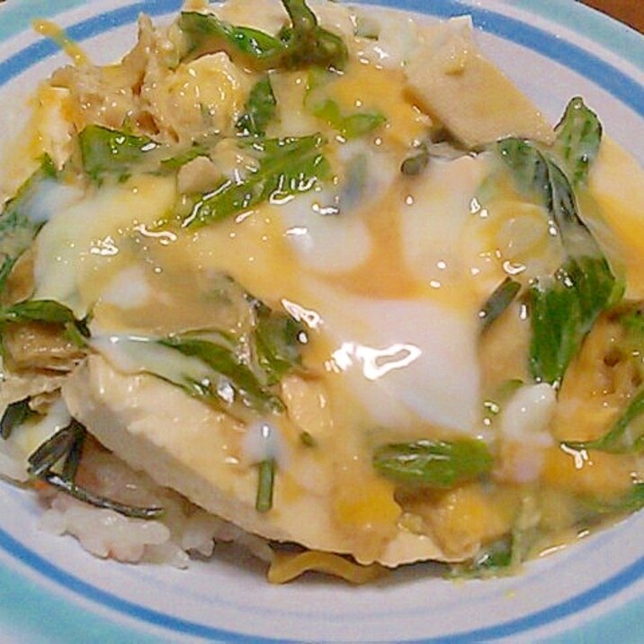 豆腐とこしあぶらの新芽で簡単卵とじ丼